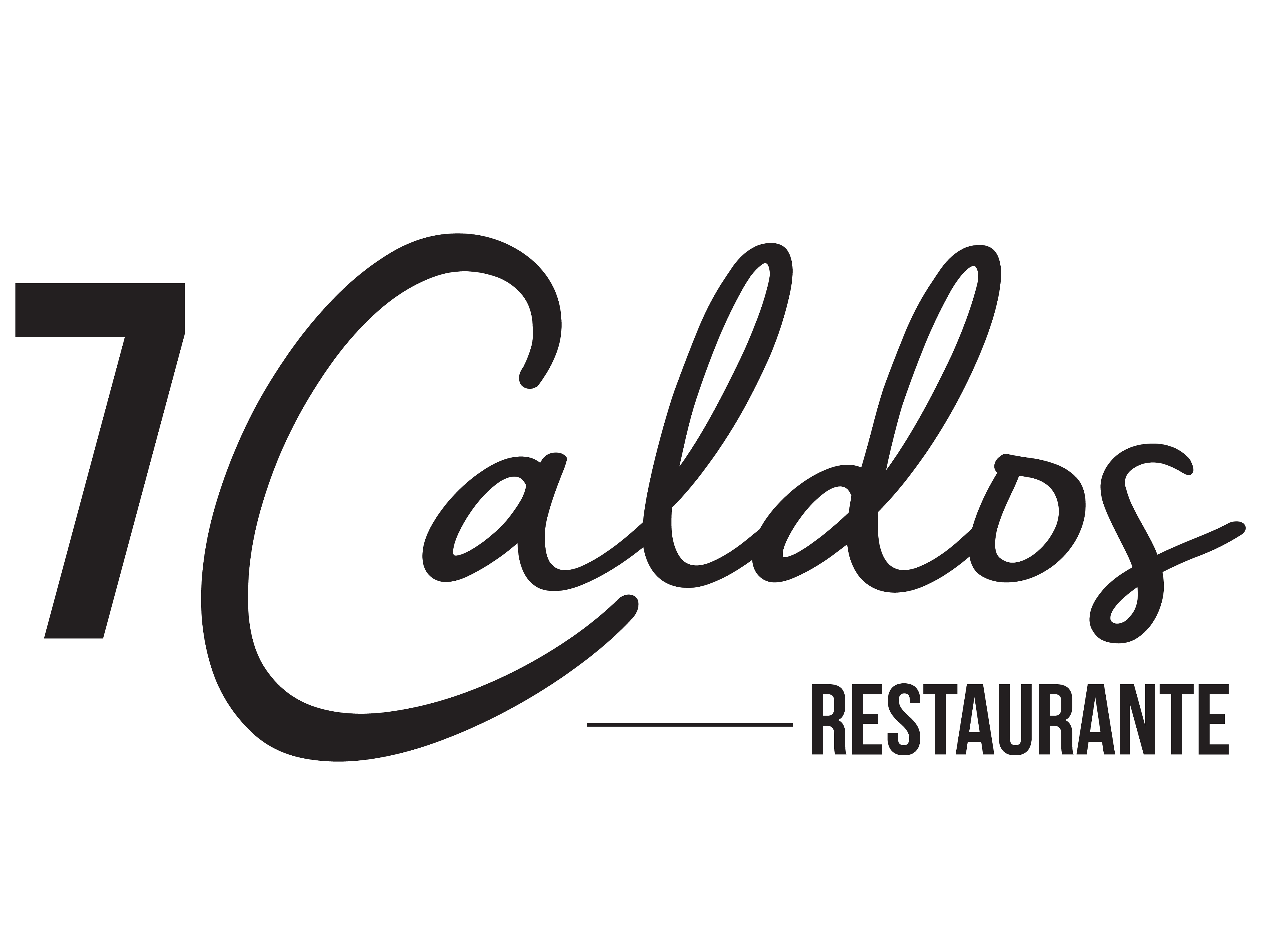 logo 7 caldos